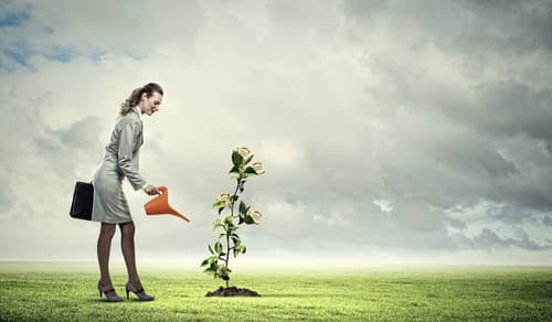 Sources Of Business Financing